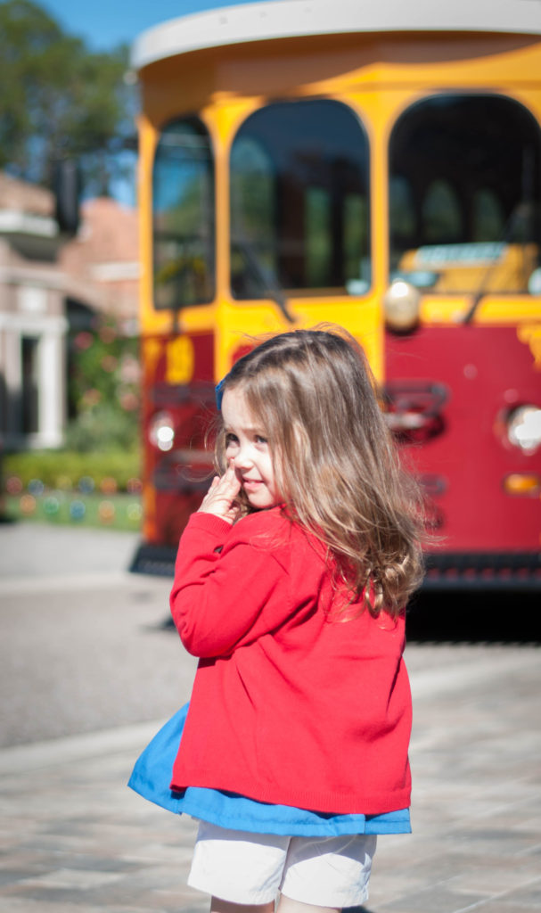 Daniel Tiger Birthday Party 