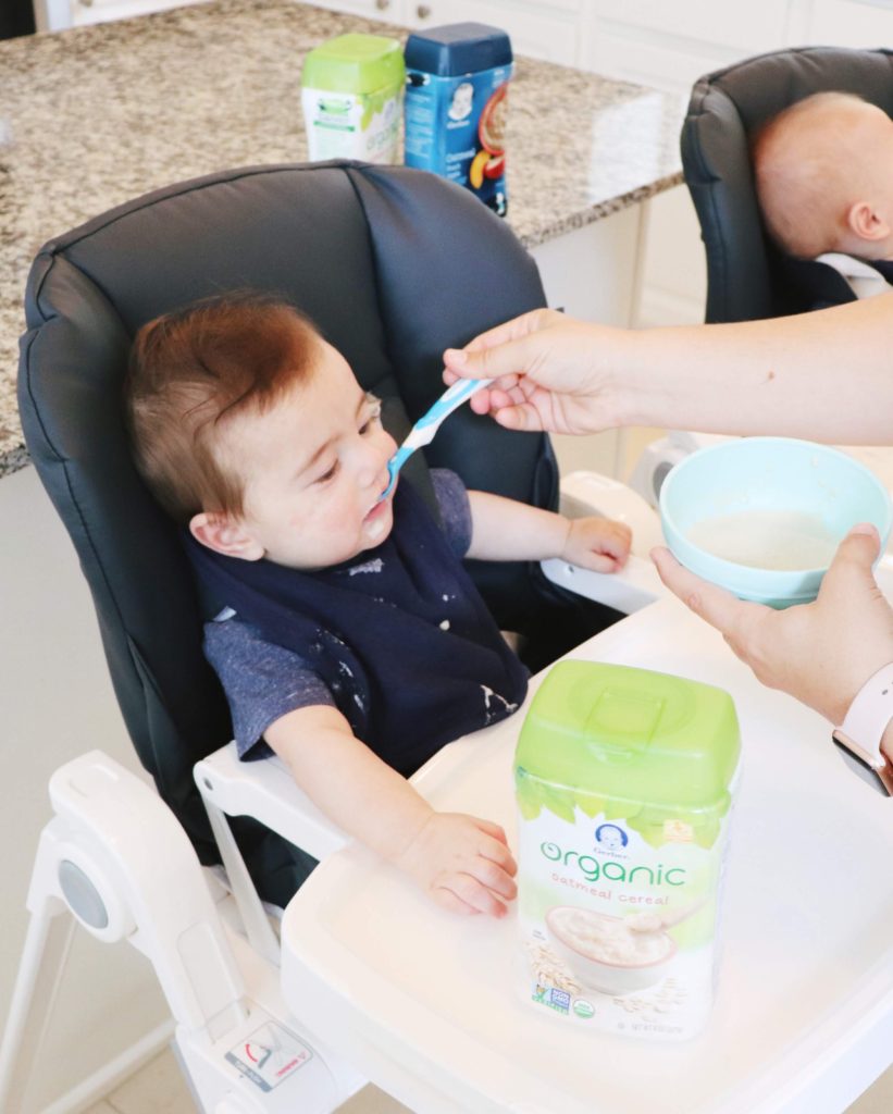 Perfect First Food For Babies 6-12 Months: Food Ideas for Babies