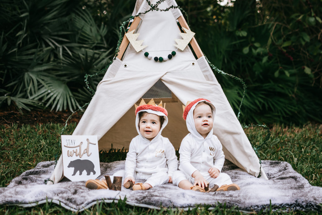 one wild year, wild one birthday party, wild one theme, where the wild things are birthday, cake smash, first birthday theme for twins