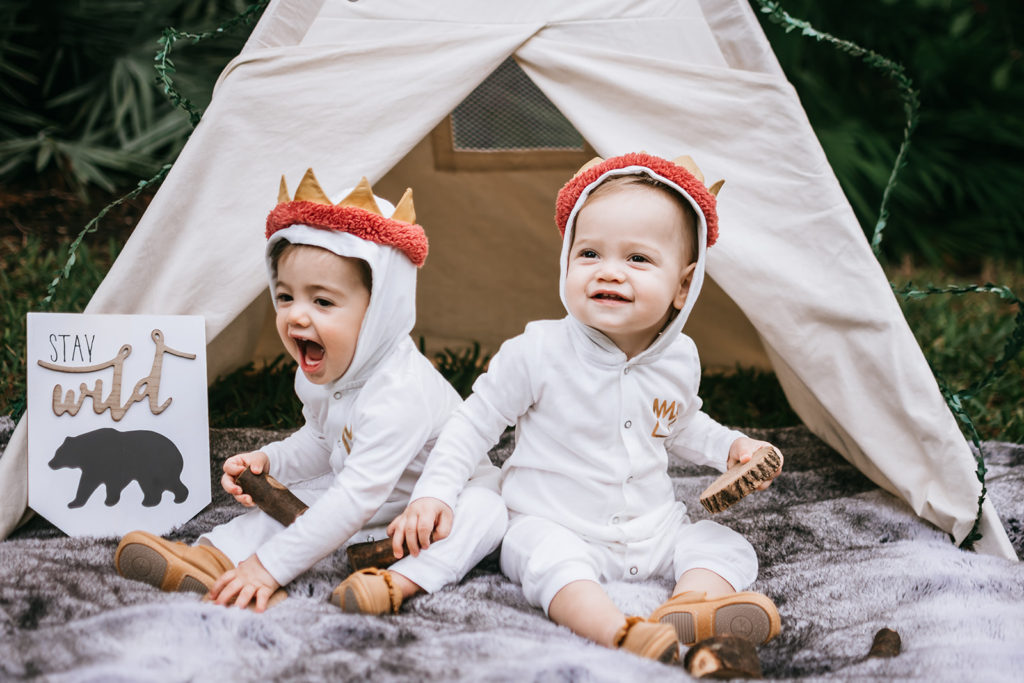 one wild year, wild one birthday party, wild one theme, where the wild things are birthday, cake smash, first birthday theme for twins