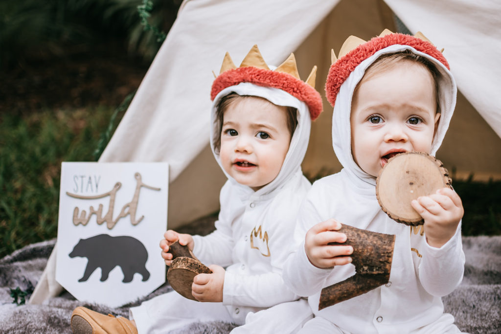 one wild year, wild one birthday party, wild one theme, where the wild things are birthday, cake smash, first birthday theme for twins