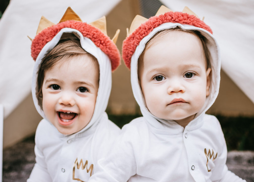 one wild year, wild one birthday party, wild one theme, where the wild things are birthday, cake smash, first birthday theme for twins