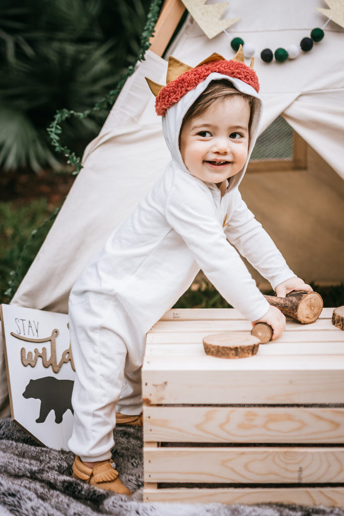 one wild year, wild one birthday party, wild one theme, where the wild things are birthday, cake smash, first birthday theme for twins