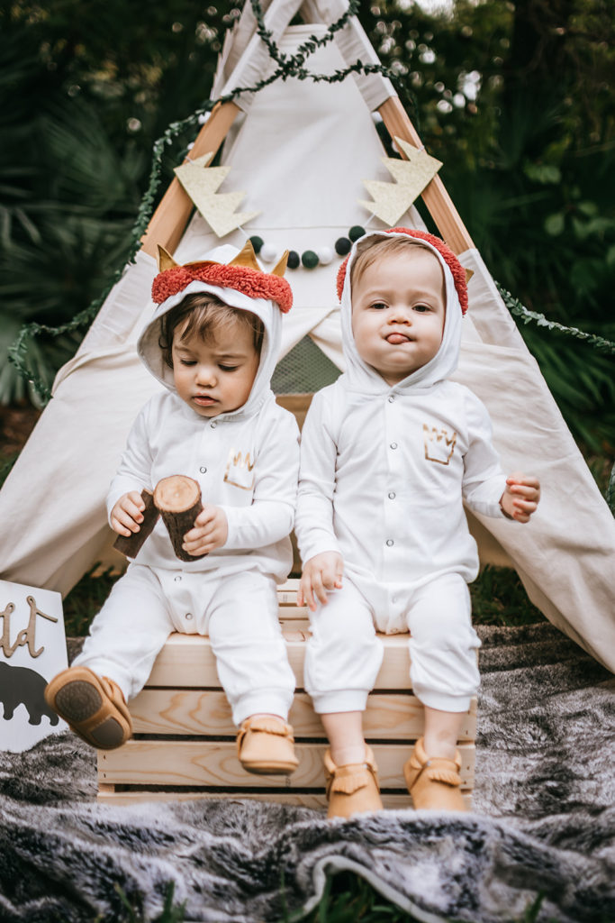 one wild year, wild one birthday party, wild one theme, where the wild things are birthday, cake smash, first birthday theme for twins