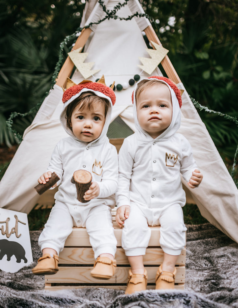 one wild year, wild one birthday party, wild one theme, where the wild things are birthday, cake smash, first birthday theme for twins