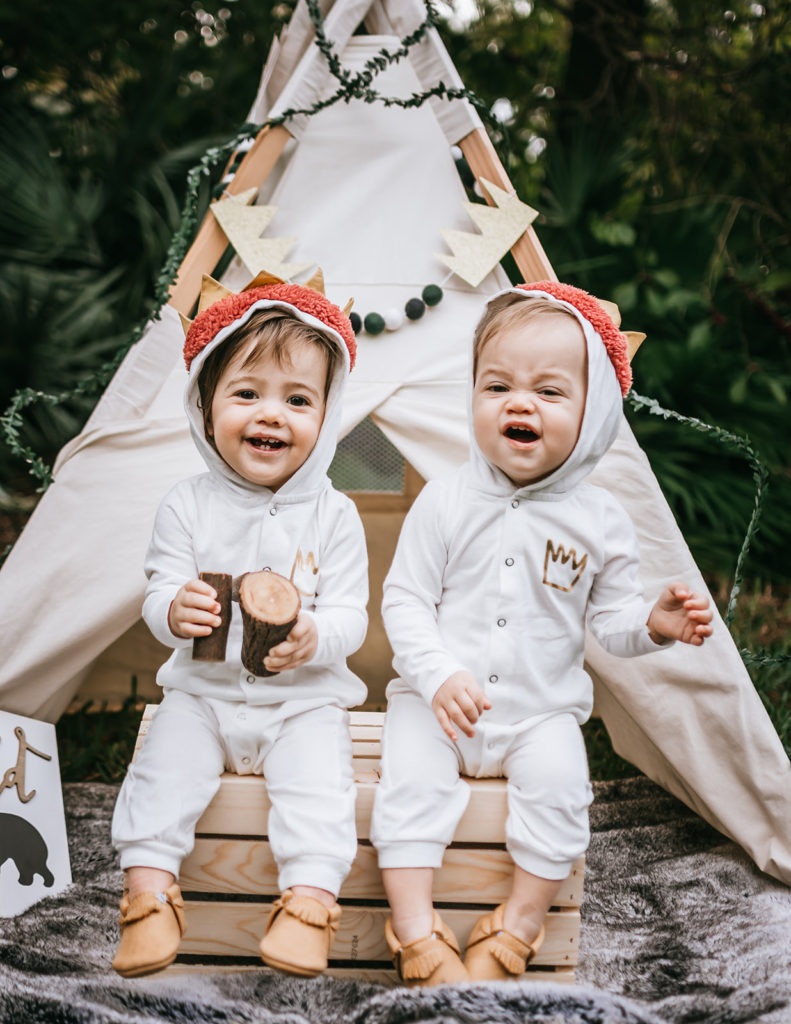 one wild year, wild one birthday party, wild one theme, where the wild things are birthday, cake smash, first birthday theme for twins