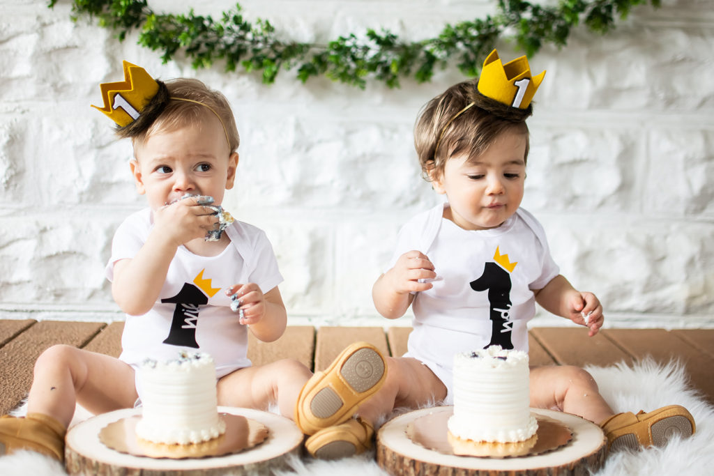 one wild year, wild one birthday party, wild one theme, where the wild things are birthday, cake smash, first birthday theme for twins