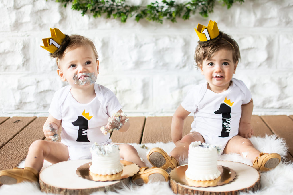 one wild year, wild one birthday party, wild one theme, where the wild things are birthday, cake smash, first birthday theme for twins