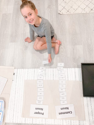 free printable worksheet activity for common vs. proper noun
