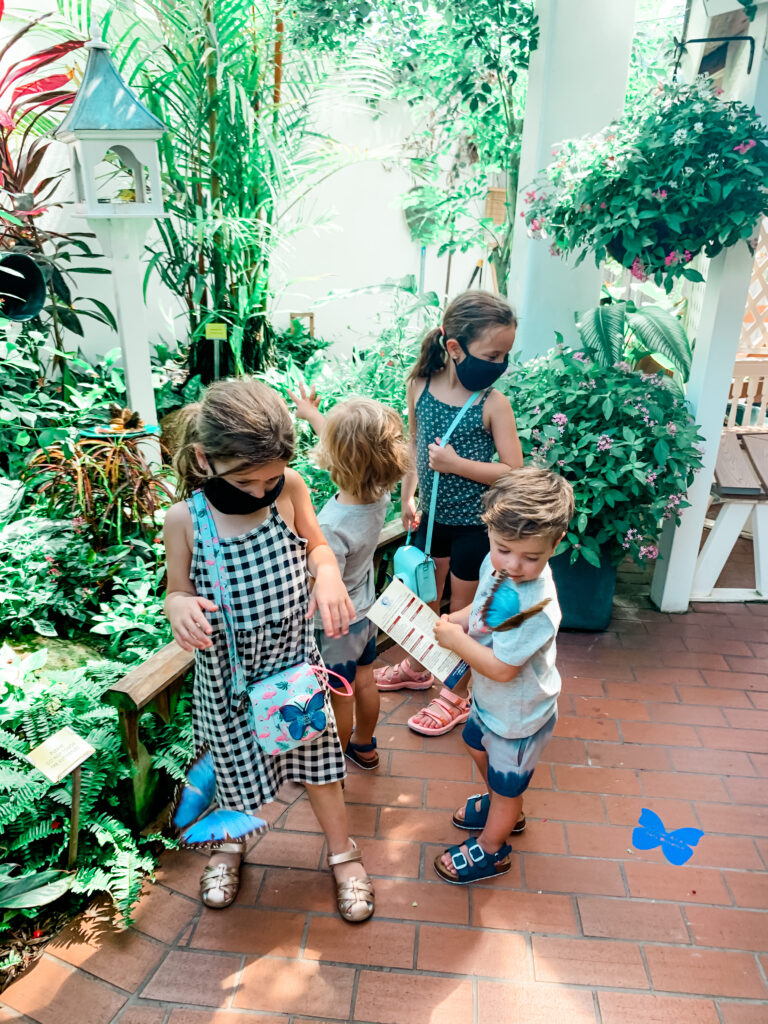 the butterfly garden, key west Florida 