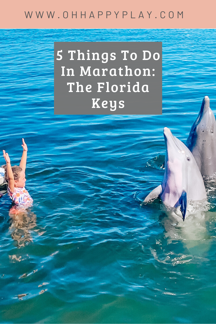 Things To Do In Marathon Florida, the dolphin research center review, Things to do in marathon, florida, family friendly things to do in marathon, family friendly places to visit in Florida, Safe places to visit in florida, the florida keys, key west, florida travel, marathon, new cases