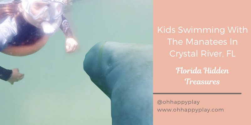 swimming with manatees in Crystal river, Florida , hidden treasures Florida, places to visit in Florida, responsible travel covid, Florida with kids, kid friendly Florida destinations