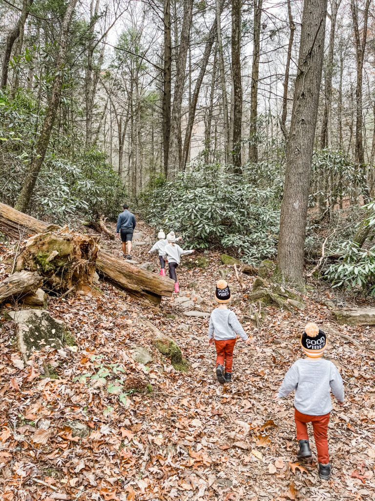 hikes for kids, kid friendly activities in blue ridge Georgia, things to do with kids in blue ridge Georgia 